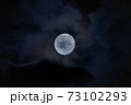 月 73102293