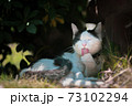 猫の毛づくろい 73102294