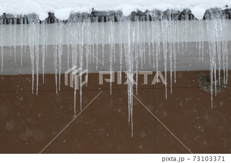 雪が降る中のツララの写真素材 [73103371] - PIXTA