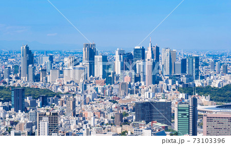 東京 新宿副都心の高層ビル 東京 新宿副都心の高層ビル 73103396