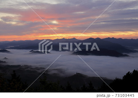 奈良　鳥見山公園　朝焼け　雲海　秋 73103445
