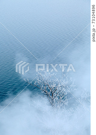 和琴半島の霧氷 73104896