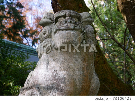 二宮尊徳の遺徳をつたえる神社は新年を直前にして鮮やかな紅葉が印象的であった 二宮尊徳の遺徳をつたえる神社は新年を直前にして鮮やかな紅葉が印象的であった 73106425