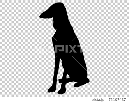 お座りをする犬シルエット_5 73107487