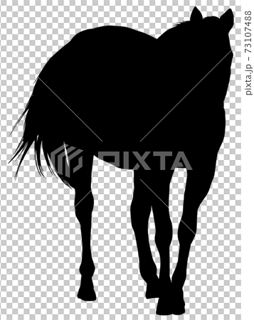 歩くサラブレッドシルエット 73107488