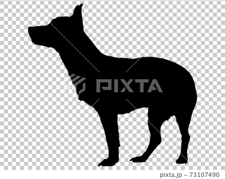 Standing dog silhouette_5 73107490