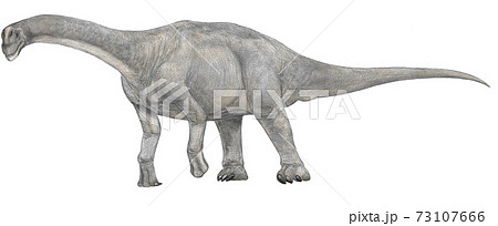 恐竜カマラサウルスのイラスト　ジュラ紀後期の北米に繁殖した竜脚類。 73107666