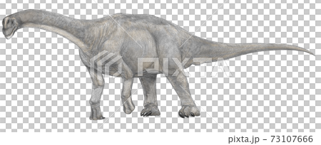 恐竜カマラサウルスのイラスト　ジュラ紀後期の北米に繁殖した竜脚類。 73107666