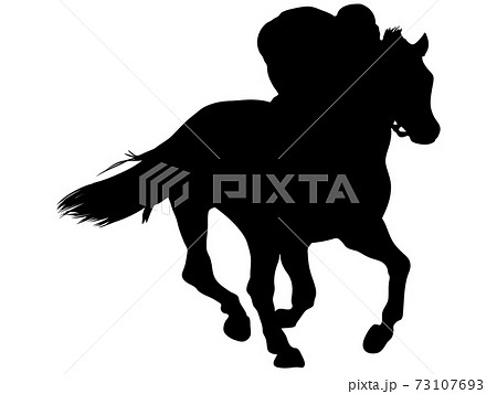 疾走するサラブレッドシルエット_3 疾走するサラブレッドシルエット_3 73107693