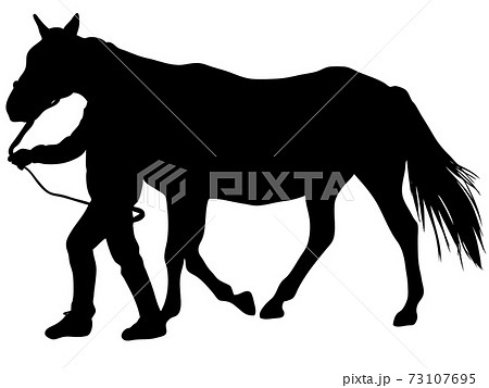 引き運動をするサラブレッド 73107695