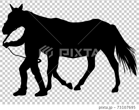 Thoroughbred doing a pulling exercise 73107695