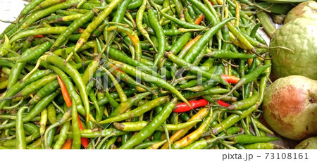 green hot spicy chili stock 73108161