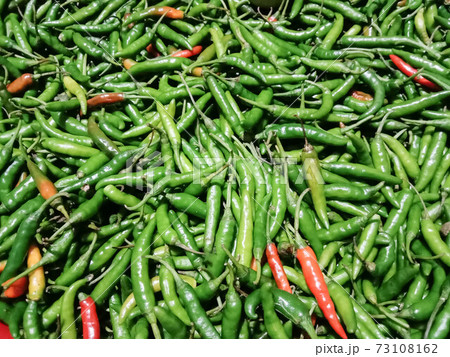 green hot spicy chili stock green hot spicy chili stock 73108162