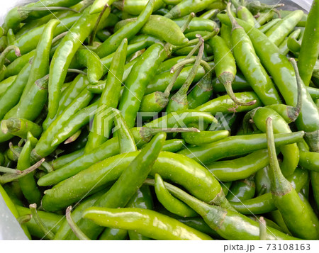 green hot spicy chili stock 73108163