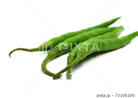 green hot spicy chili stock 73108169