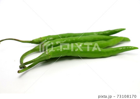 green hot spicy chili stock green hot spicy chili stock 73108170