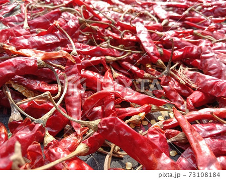 red hot spicy chili peppers stock red hot spicy chili peppers stock 73108184