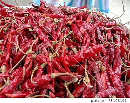 red hot spicy chili peppers stock red hot spicy chili peppers stock 73108191