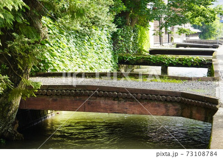 夏の小さなお濠/Small moat at samurai residence in summer 夏の小さなお濠/Small moat at samurai residence in summer 73108784