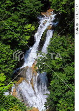 【栃木県】新緑の霧降の滝 【栃木県】新緑の霧降の滝 73108847