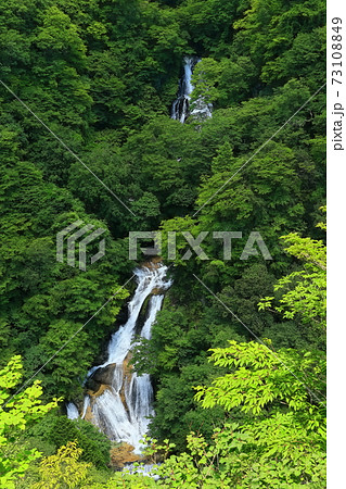 【栃木県】新緑の霧降の滝 【栃木県】新緑の霧降の滝 73108849