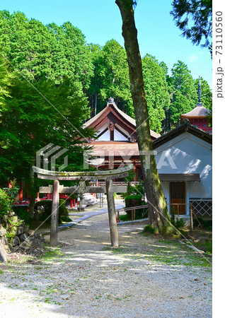 長命寺　伽藍　西国三十三所第31番札所 73110560