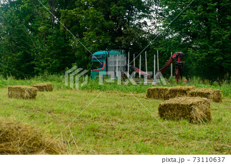 A truck with an empty trailer travels on rural roads to load the felled forest. Dried grass and bales in the field, pressed hay in the field. A truck with an empty trailer travels on rural roads to load the felled forest. Dried grass and bales in the field, pressed hay in the field. 73110637