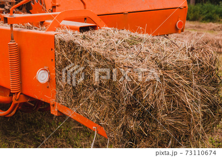 Pressing hay into bales, old working press, harvesting and harvesting dry fodder. 73110674