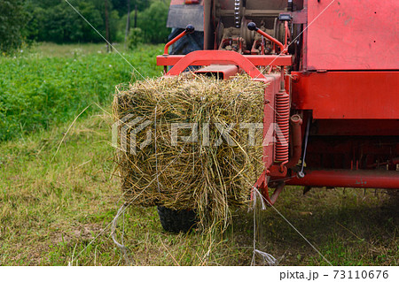 Pressing hay into bales, old working press, harvesting and harvesting dry fodder. 73110676