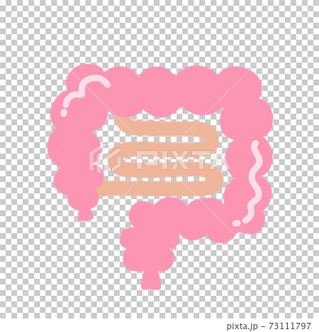 Normal intestine 73111797