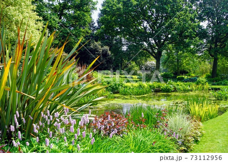 イギリス　ベスチャトーガーデン 73112956