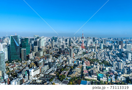 日本の東京都市景観　青空に映える東京タワーなど、大都会・東京を望む 73113319