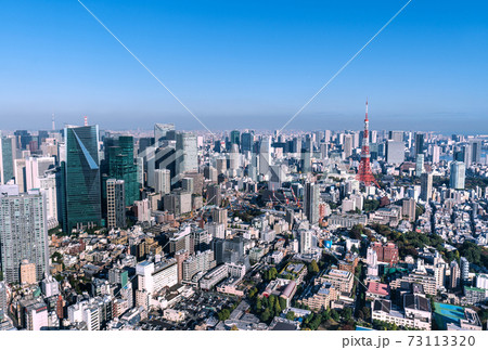 日本の東京都市景観　青空に映える東京タワーなど、大都会・東京を望む 73113320