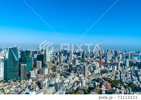 日本の東京都市景観 青空に映える東京タワーなど、大都会・東京を望む 日本の東京都市景観 青空に映える東京タワーなど、大都会・東京を望む 73113321