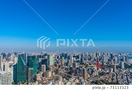 日本の東京都市景観　青空に映える東京タワーなど、大都会・東京を望む 73113323