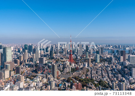 日本の東京都市景観　青空に映える東京タワーなど、大都会・東京を望む 73113348