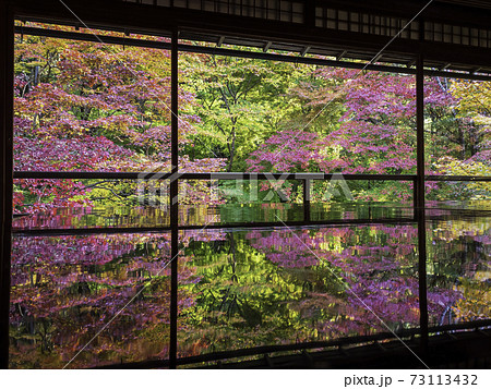 京都・八瀬　瑠璃光院の机もみじ　秋の特別拝観 73113432