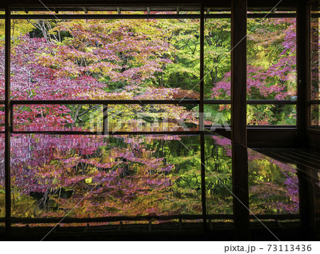 京都・八瀬　瑠璃光院の机もみじ　秋の特別拝観 73113436