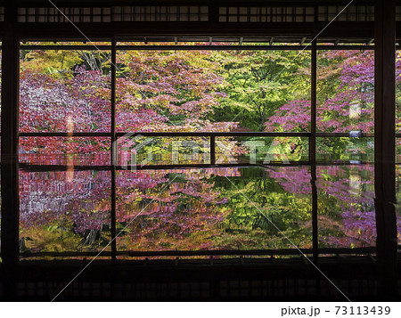 京都・八瀬　瑠璃光院の机もみじ　秋の特別拝観 73113439