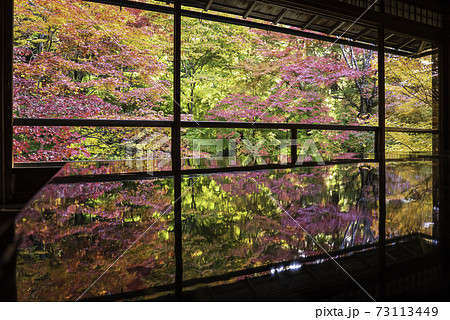 京都・八瀬　瑠璃光院の机もみじ　秋の特別拝観 73113449