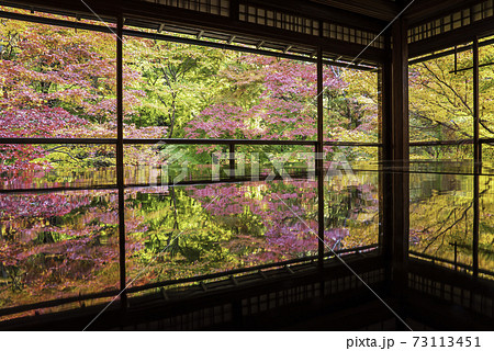 京都・八瀬　瑠璃光院の机もみじ　秋の特別拝観 73113451