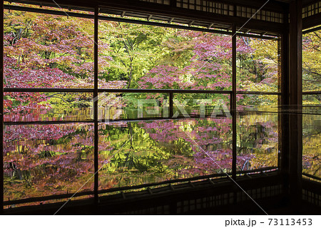 京都・八瀬　瑠璃光院の机もみじ　秋の特別拝観 73113453