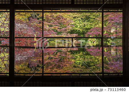 京都・八瀬　瑠璃光院の机もみじ　秋の特別拝観 73113460