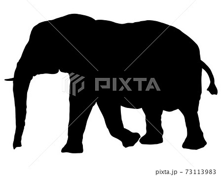 歩くゾウシルエット 2のイラスト素材