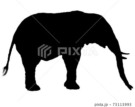 佇むゾウシルエット 1のイラスト素材