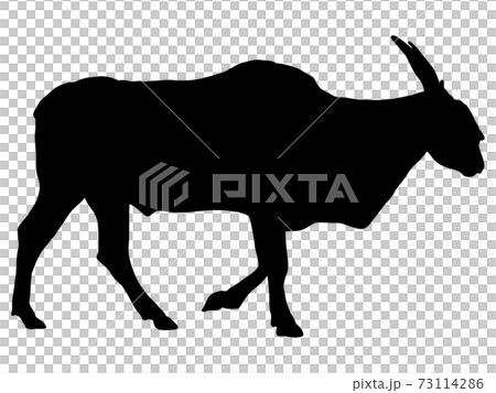 Eland silhouette 73114286