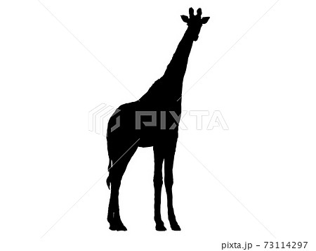 佇むキリンシルエット_1のイラスト素材 [73114297] - PIXTA