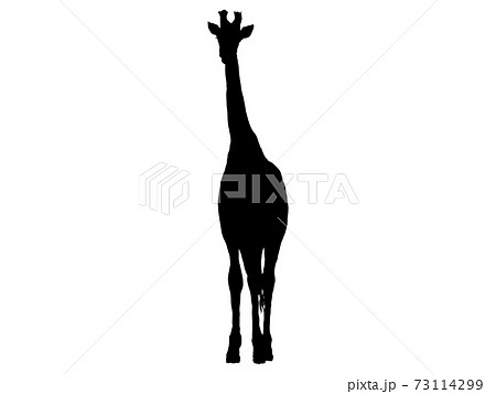 佇むキリンシルエット 2のイラスト素材
