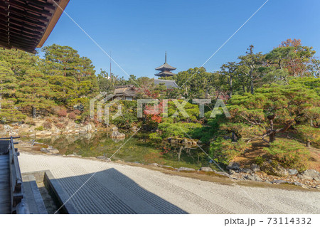 仁和寺 仁和寺 73114332
