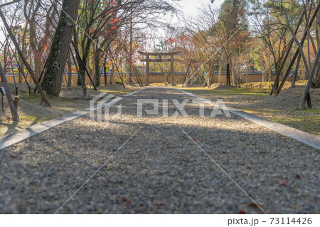 仁和寺 仁和寺 73114426